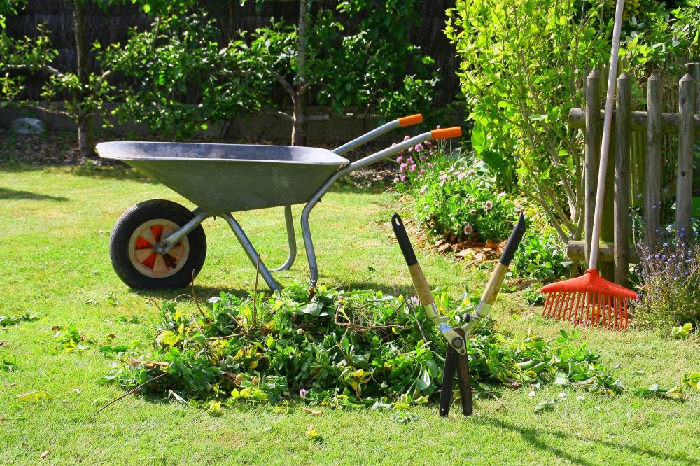 Entretien de jardin à Vaux-sur-Sûre