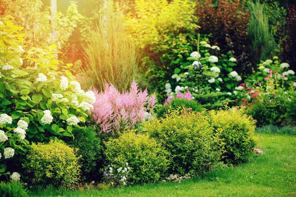Entretien de parc & jardin à Vaux-sur-Sûre