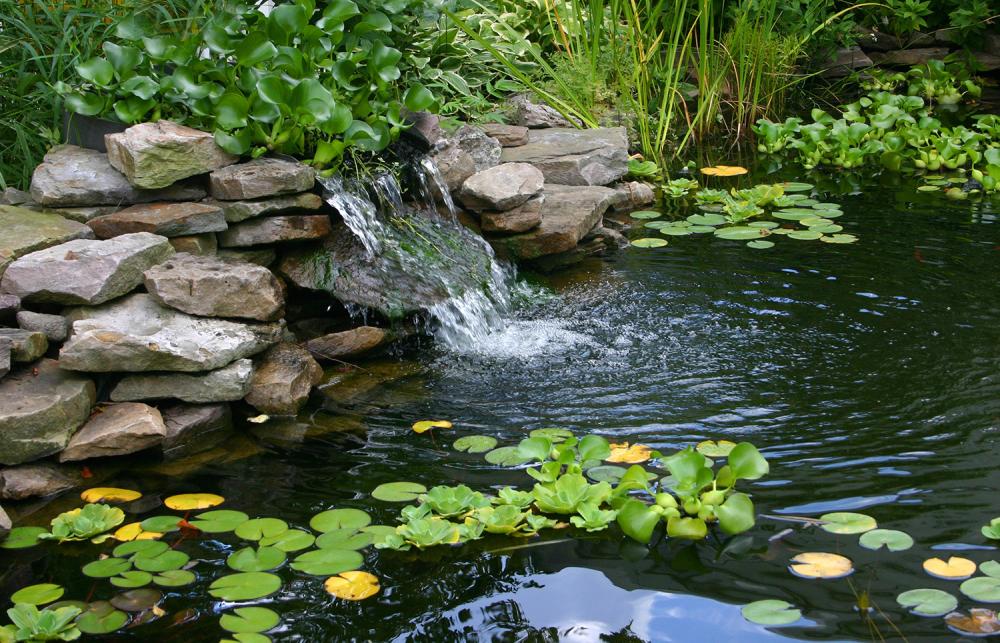 cretation-de-bassin-etang